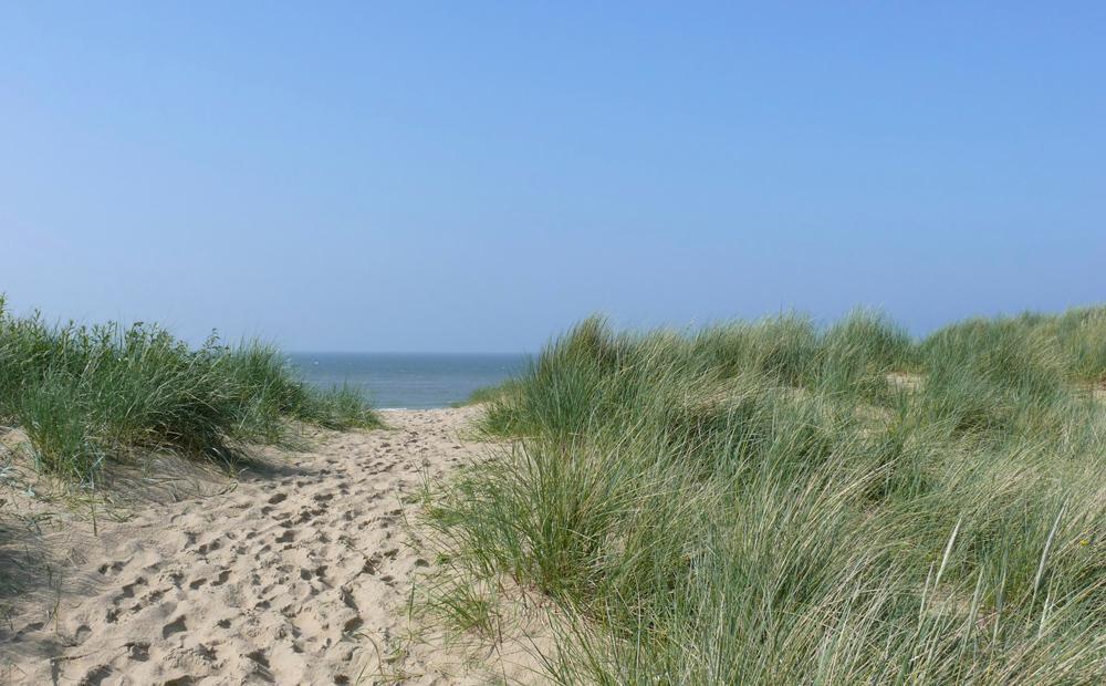 Camping Ginsterveld Burgh-Haamstede Bagian luar foto